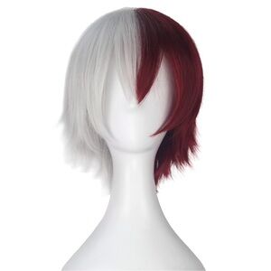 Elegant Two-Tone Women's Wig